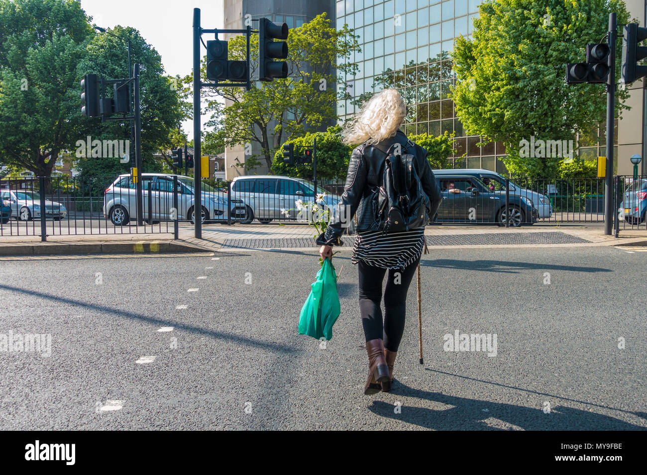 Une dame traverse une route à un passage pour piétons, tenant un bâton de marche et une plante en pot dans un sac de transport en plastique. Banque D'Images