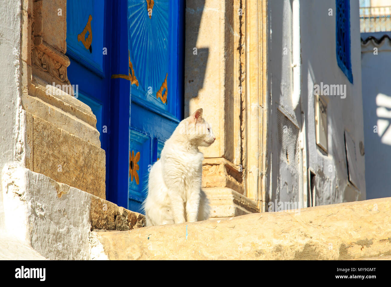 Tunisia Tunis Street Banque D Image Et Photos Page 10 Alamy Tunisia Tunis Street Banque D Image Et Photos Page 10 Alamy