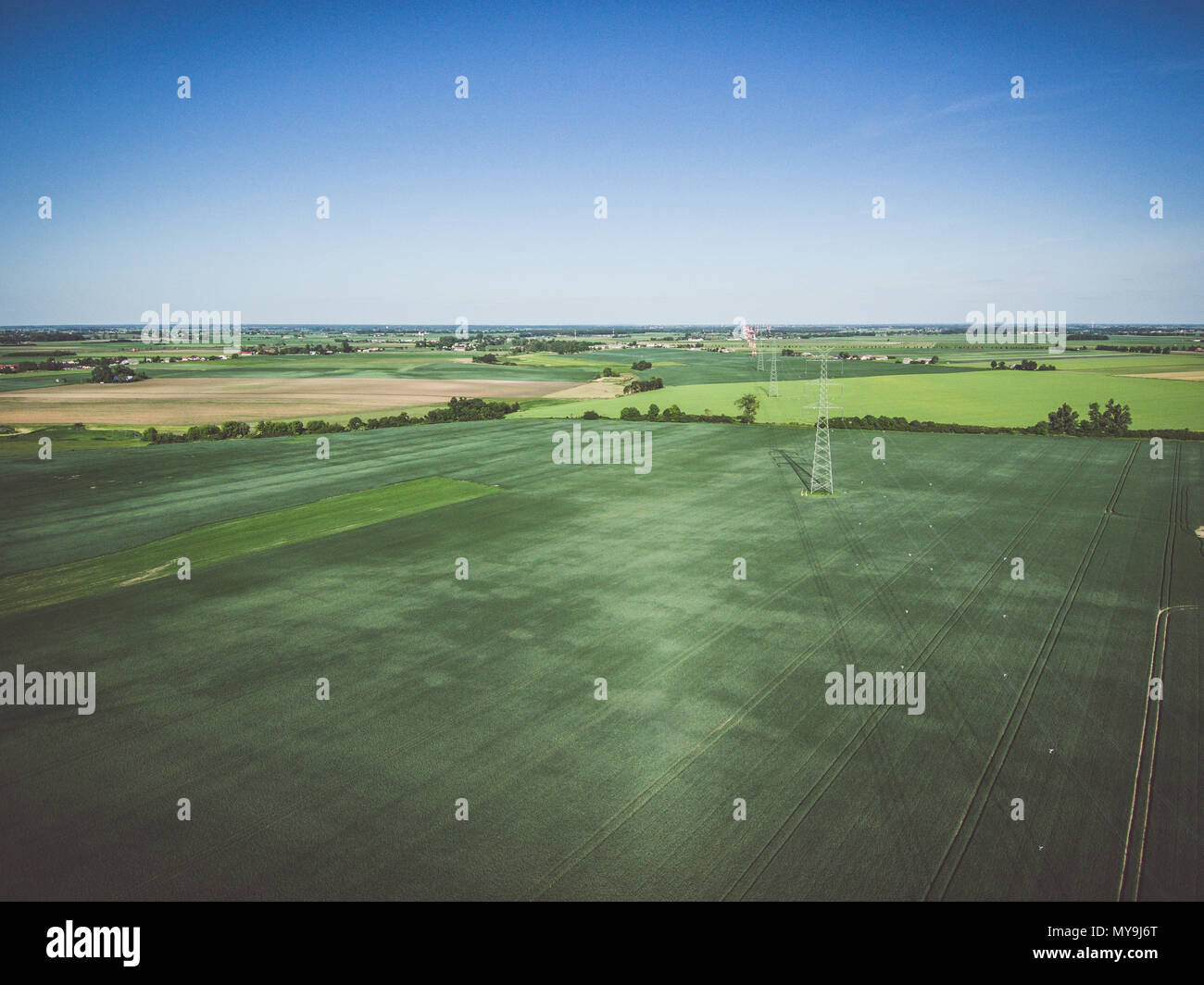 Vue aérienne de la ligne haute tension sur domaine de grain vert Banque D'Images