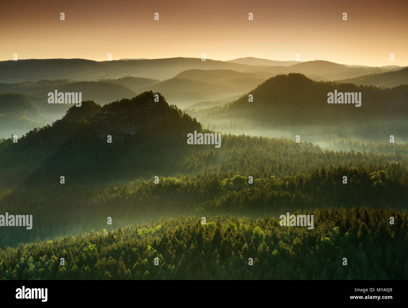 Matin atmosphère dans les montagnes de grès de l'Elbe, vue de l'Lorenzsteine contre la lumière, le brouillard se lève Banque D'Images