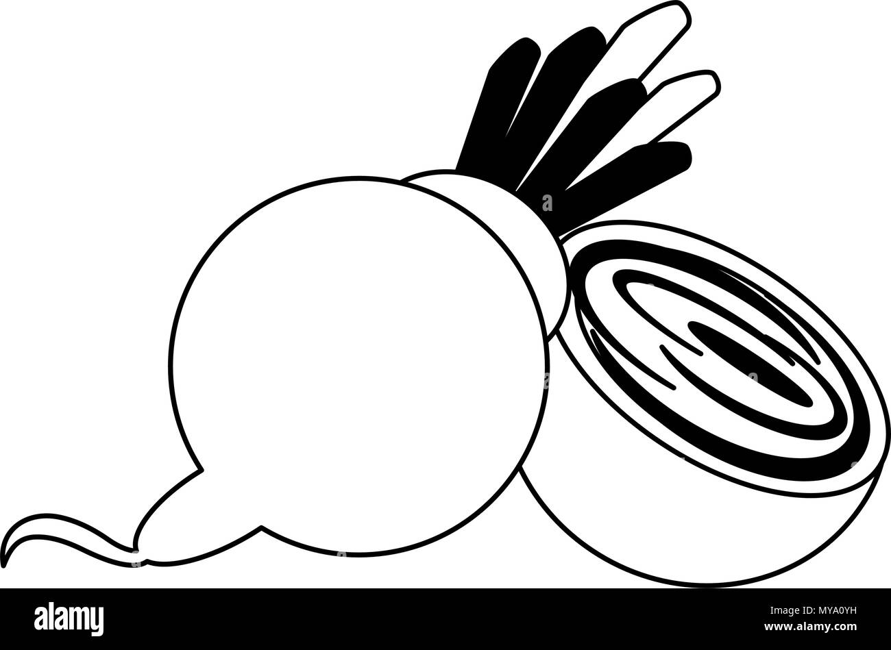 Légumes frais radis en noir et blanc Illustration de Vecteur