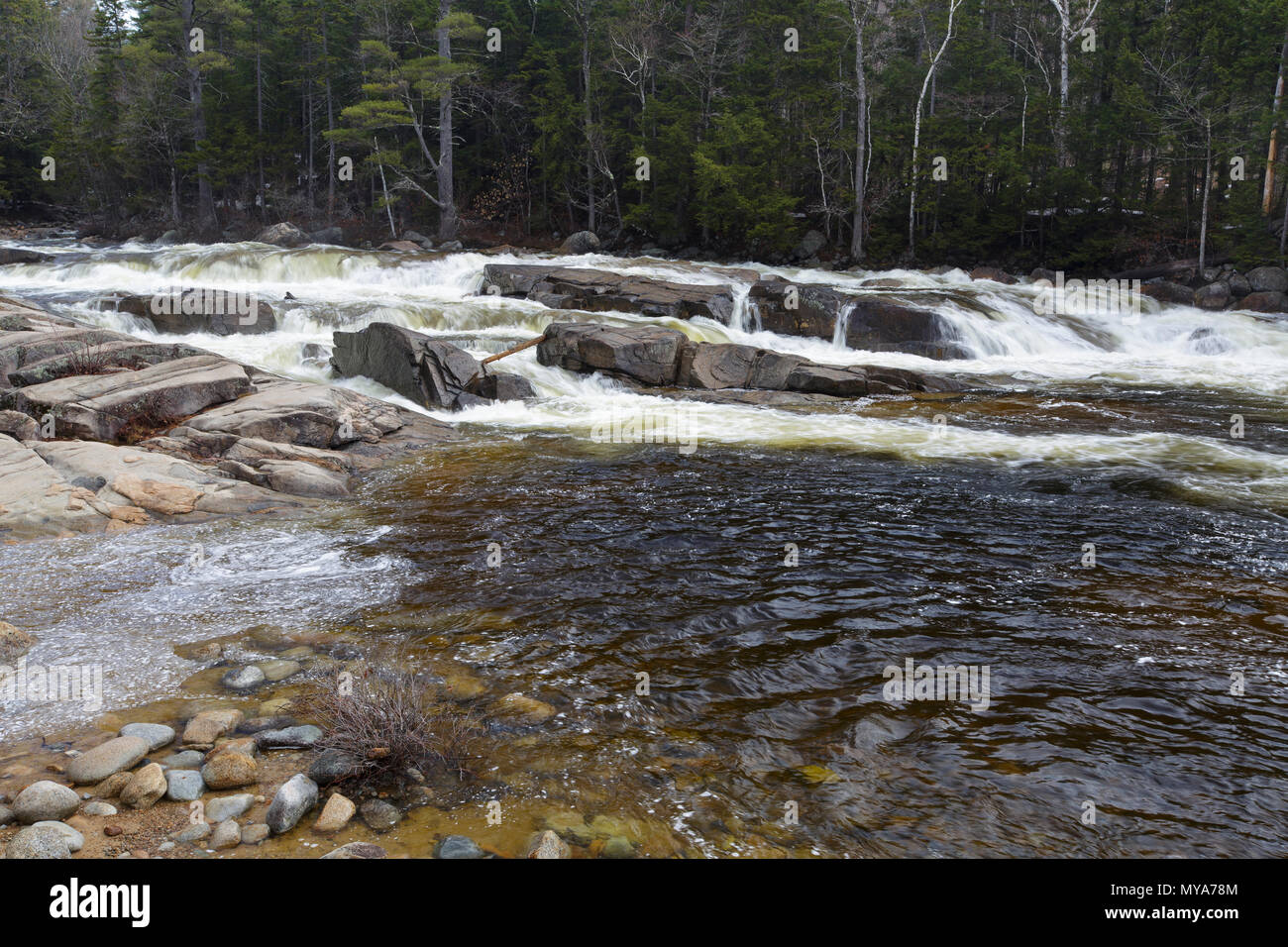 Lower Falls sur la rivière Swift à Albany, New Hampshire USA pendant les mois de printemps. Ces chutes sont situées le long de l'autoroute Kancamagus (route 112) Banque D'Images