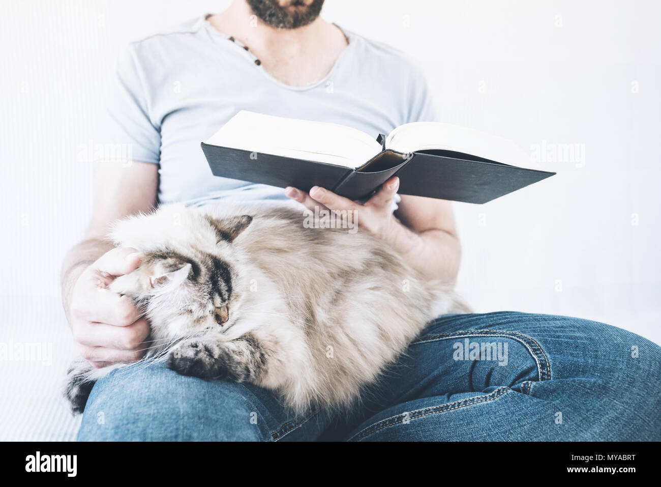 Jeune homme lisant un livre avec chat dormant sur ses genoux Banque D'Images