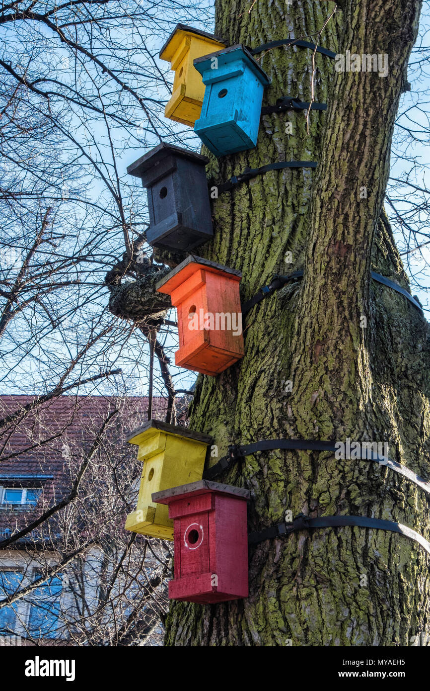 Hôtel d'oiseaux collection de nichoirs et de reproduction des oiseaux liée à tree Banque D'Images