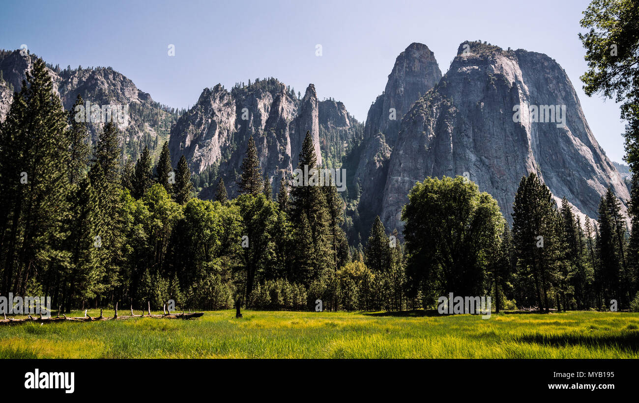 Une prairie de la vallée Yosemite. Banque D'Images