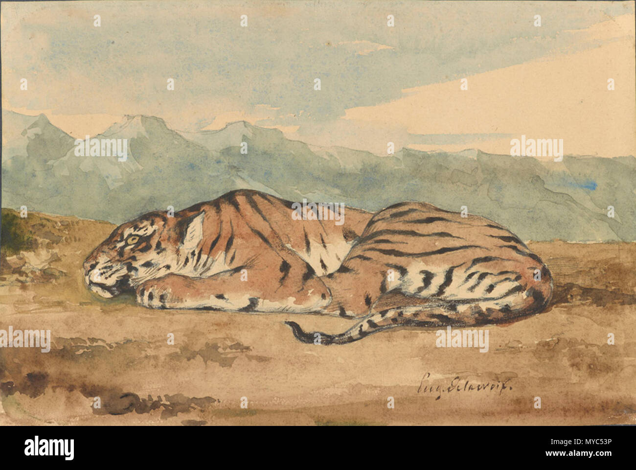 . Anglais : Ferdinand-Eugène-Victor Delacroix, tigre Royal, dix-neuvième siècle. Plume et encre brune et aquarelle, plus de crayon. La Morgan Library & Museum . 19e siècle 135 Delacroix - 'Royal' Banque D'Images