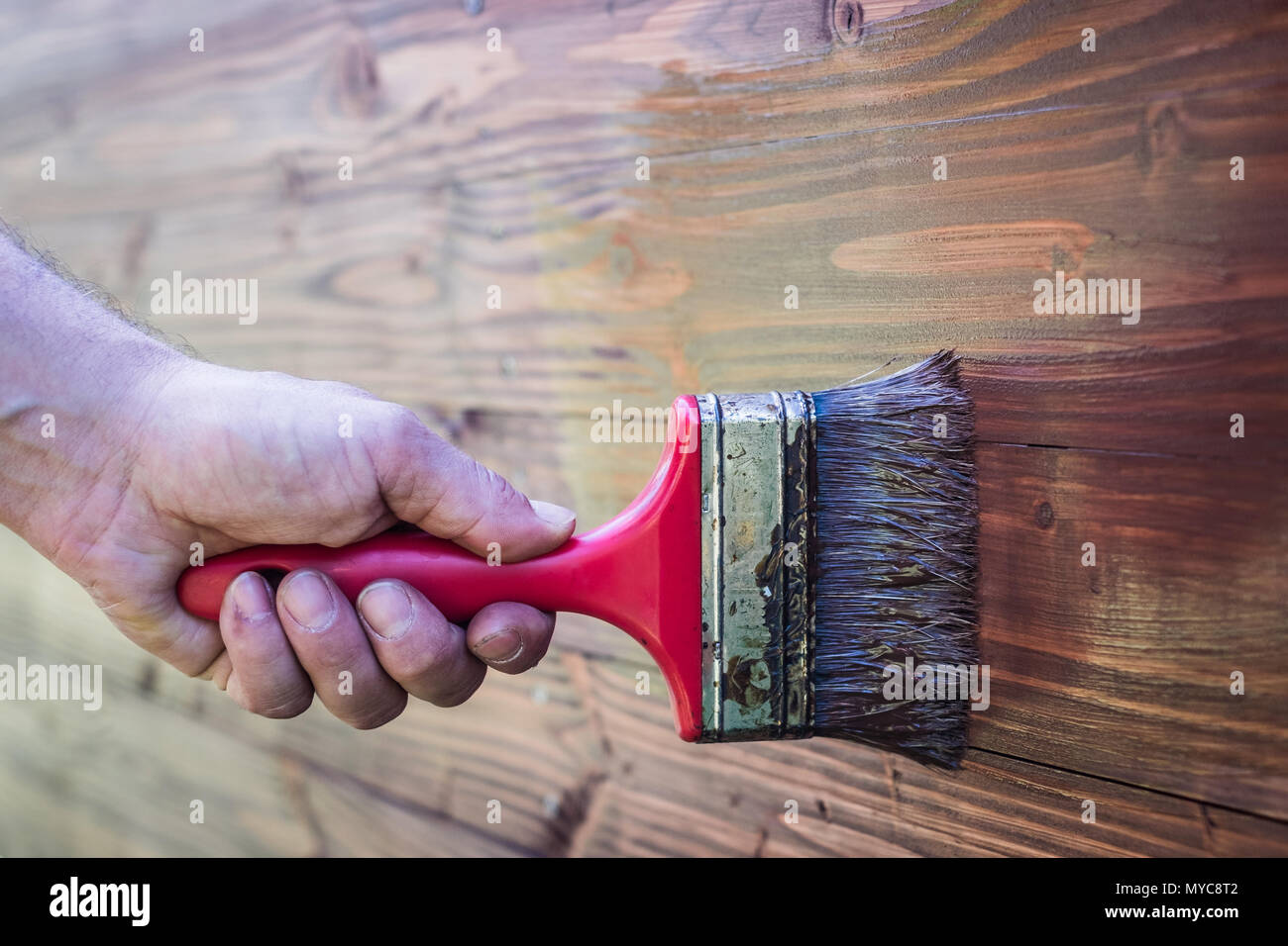 Le pinceau brosse en bois - bois de texture Banque D'Images