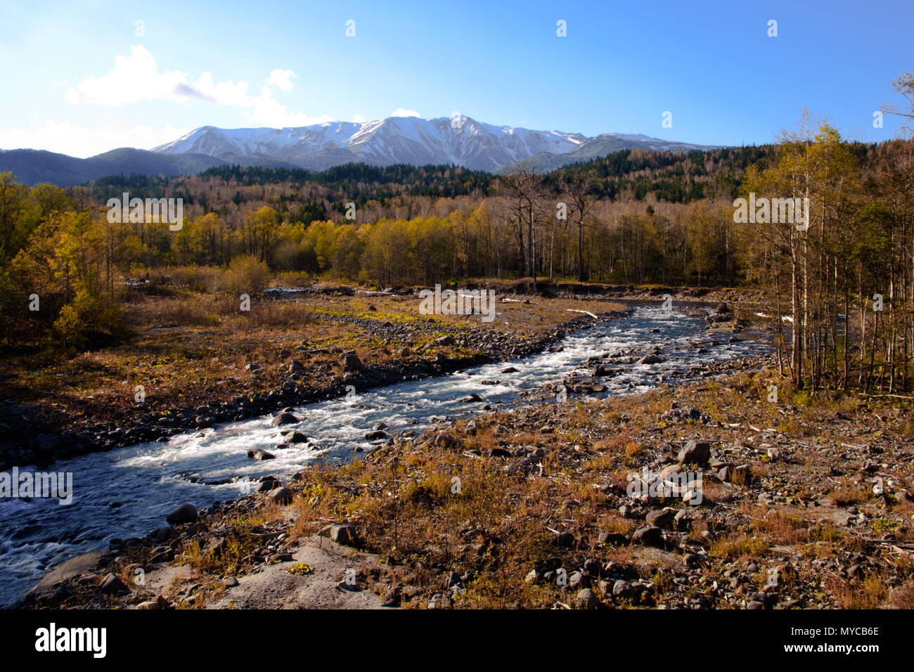 Vue d'hiver de neige et de montagne ruisseau dans le parc national de daisetsuzan Hokkaido Banque D'Images