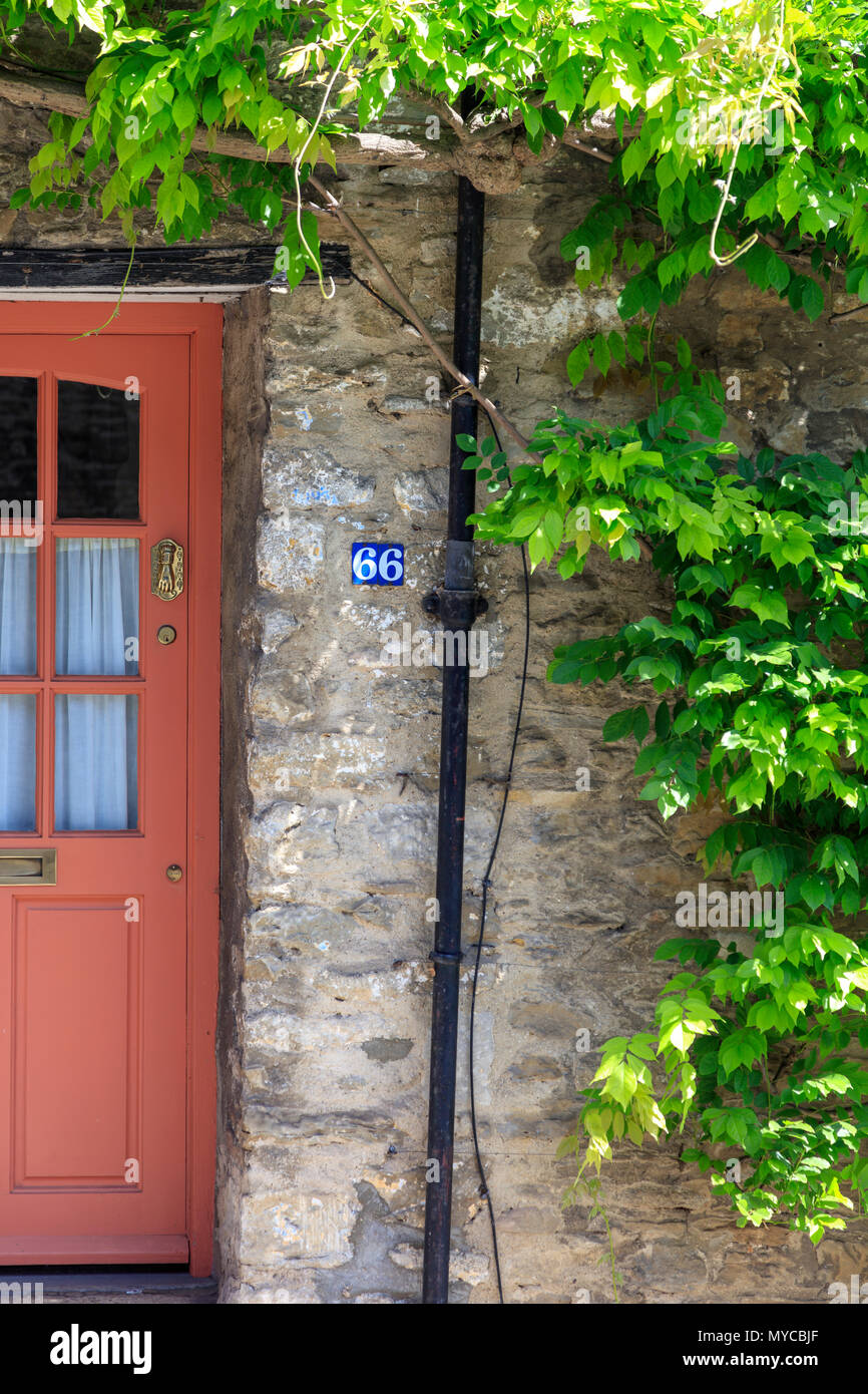 Un chalet de glycine autour de la porte avant, Numéro 66 High Street Malmesbury, Wiltshire, Royaume-Uni Banque D'Images