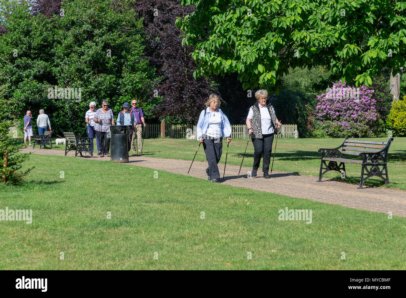 06 juin 2018 - Un groupe de personnes pratiquant la marche nordique le long d'un chemin à travers les jardins du parc du château, Frodsham, Cheshire, England, UK Banque D'Images