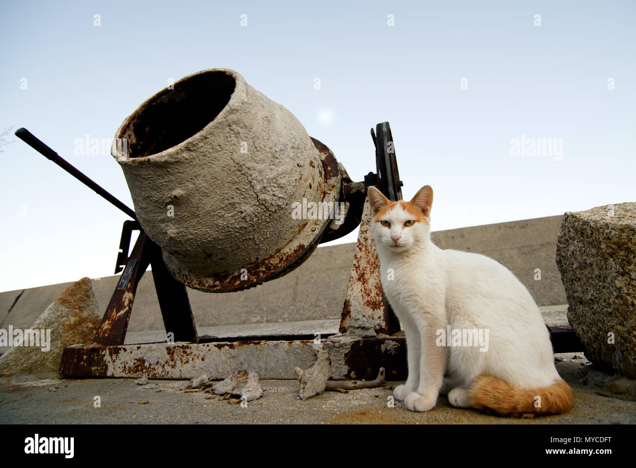 Cat Island, le Japon de hobby Banque D'Images