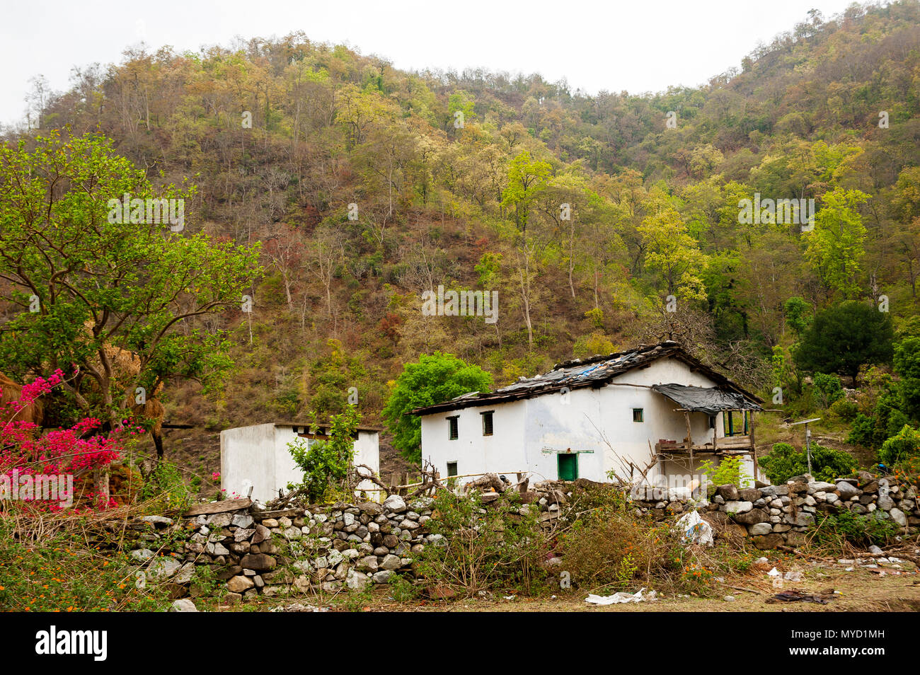 Maison Kumaoni Sem au village sur les rives de la rivière Ladhya, rendu célèbre par Jim Corbett dans livre Maneaters, du Kumaon Hills Kumaon, Uttarakhand, Inde Banque D'Images