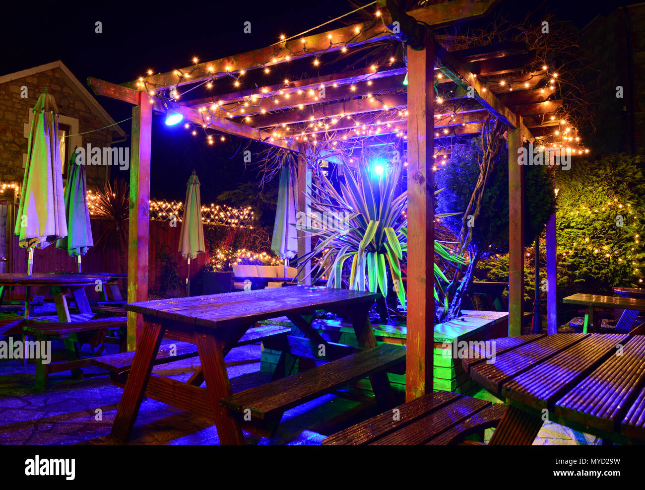 Le jardin illuminé au Village Inn, vieux village de Shanklin, sur l'île de Wight, ressemble enchanteresse la nuit après la pluie. Banque D'Images