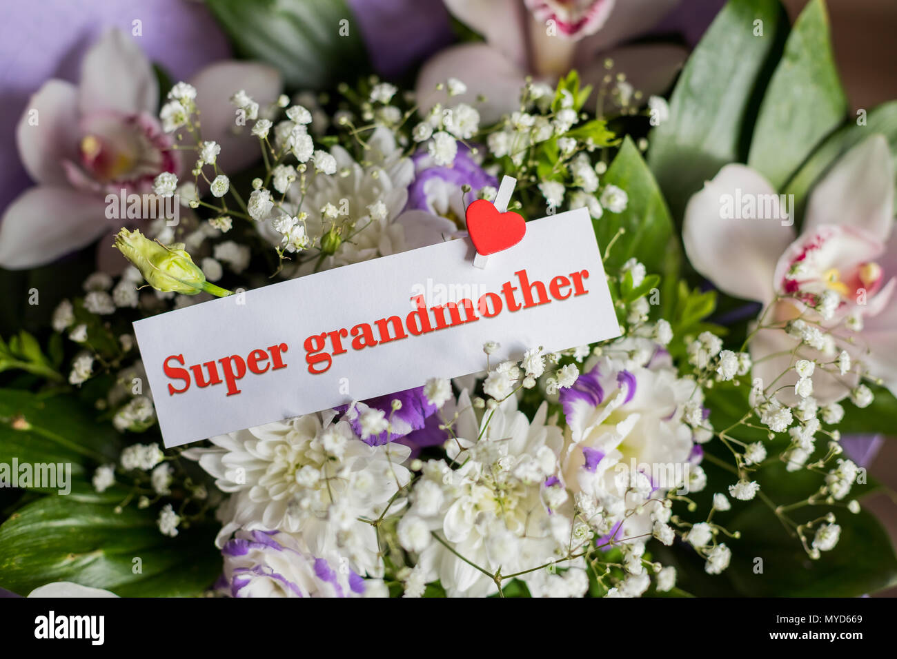 Journee Des Grands Parents Carte De Voeux Avec Des Fleurs Et Du Texte Vous Etes Mon Super Grandmom Bouquet De Fleurs Differentes Et D Orchidees Pour La Meilleure Grand Mere Carte Super Grand Mere Photo Journee Des Grands Parents Carte De Voeux Avec Des Fleurs Et Du Texte Vous Etes Mon Super Grandmom Bouquet De Fleurs Differentes Et D Orchidees Pour La Meilleure Grand Mere Carte Super Grand Mere Photo