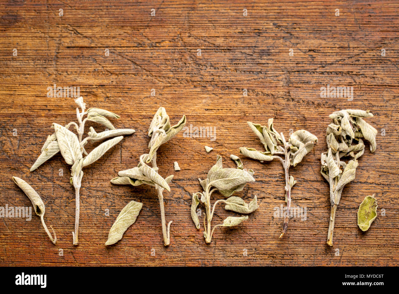 Sage grec sec thé aux herbes (fascomilo) - feuilles isolées contre le bois rustique avec un copy space Banque D'Images