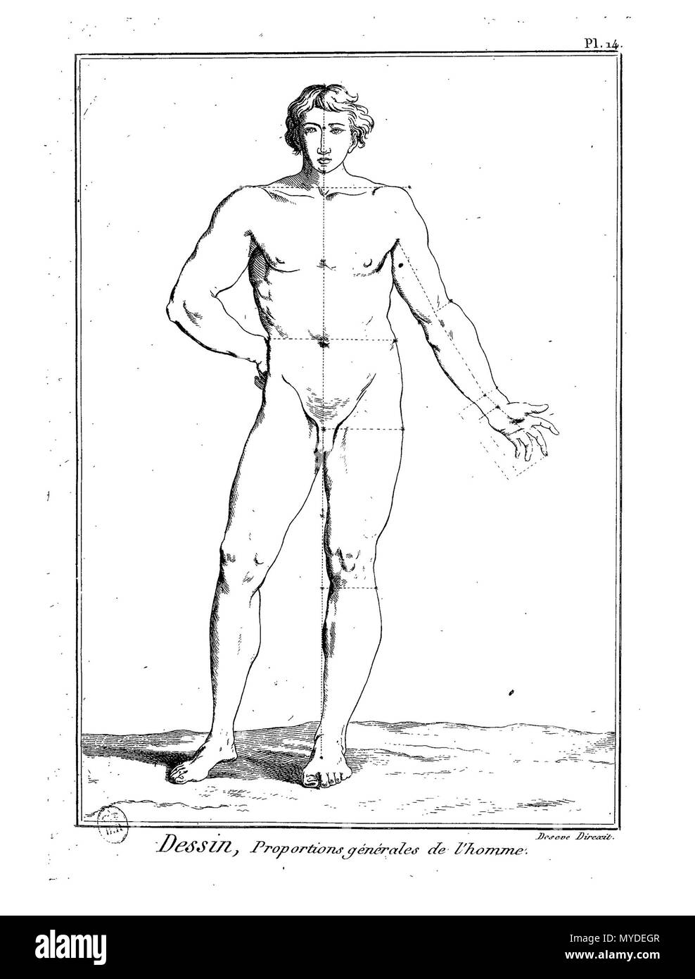 . English : Planche . 24 février 2016. 161Meth-BxArts-Pl Panckoucke Enc-im19 Banque D'Images