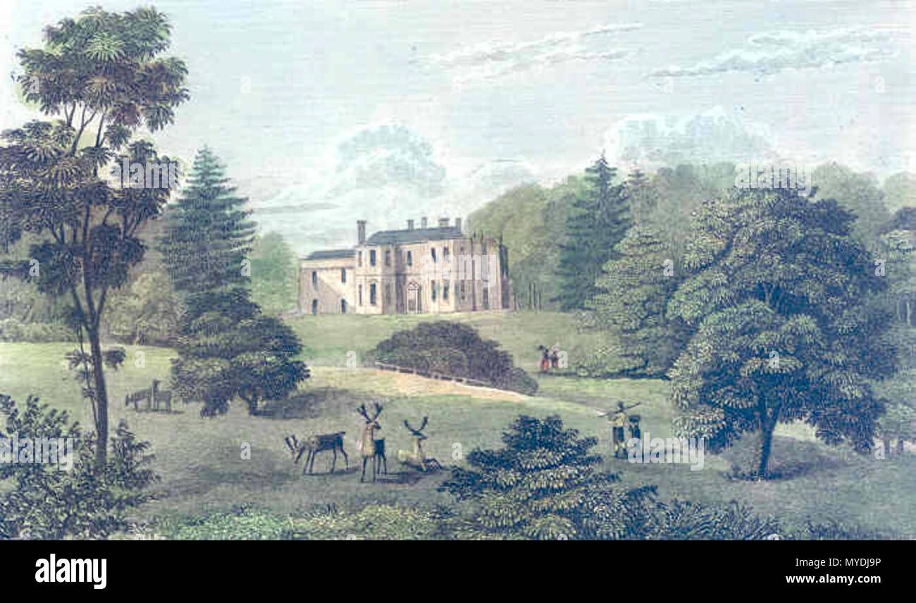 . Downton Château. Cette drawimg présente le château néo-gothique avant sa rénovation. 18e siècle ( ?). Dessin d'artiste inconnu 145 Château du centre-ville 01 Banque D'Images