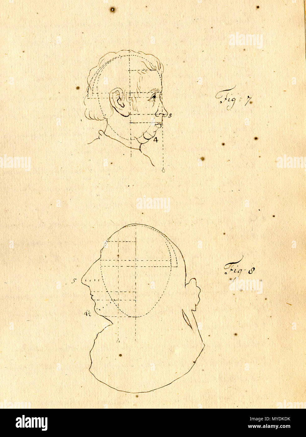 . Anglais : anonyme. [Tise sur la physionomie. (Pays-bas ?, ca. 1790)]. Physiognomy est la science de l'individu concernant le caractère, la personnalité, et le tempérament à la forme de son visage, de la tête, et/ou de l'organisme. Les théories derrière elle revenir à Hippocrate, qui croyait que les caractéristiques physiques du corps humain a révélé les traits de personnalité ; Aristote effectué des études sur la façon d'un sèche, des membres et des traits du visage et de la personnalité prédit le tempérament. Ces théories ont prospéré tout au long du Moyen Âge et la Renaissance, et l'a noté Girolamo Cardano (1501-1576) a été l'un de ses principaux propon Banque D'Images