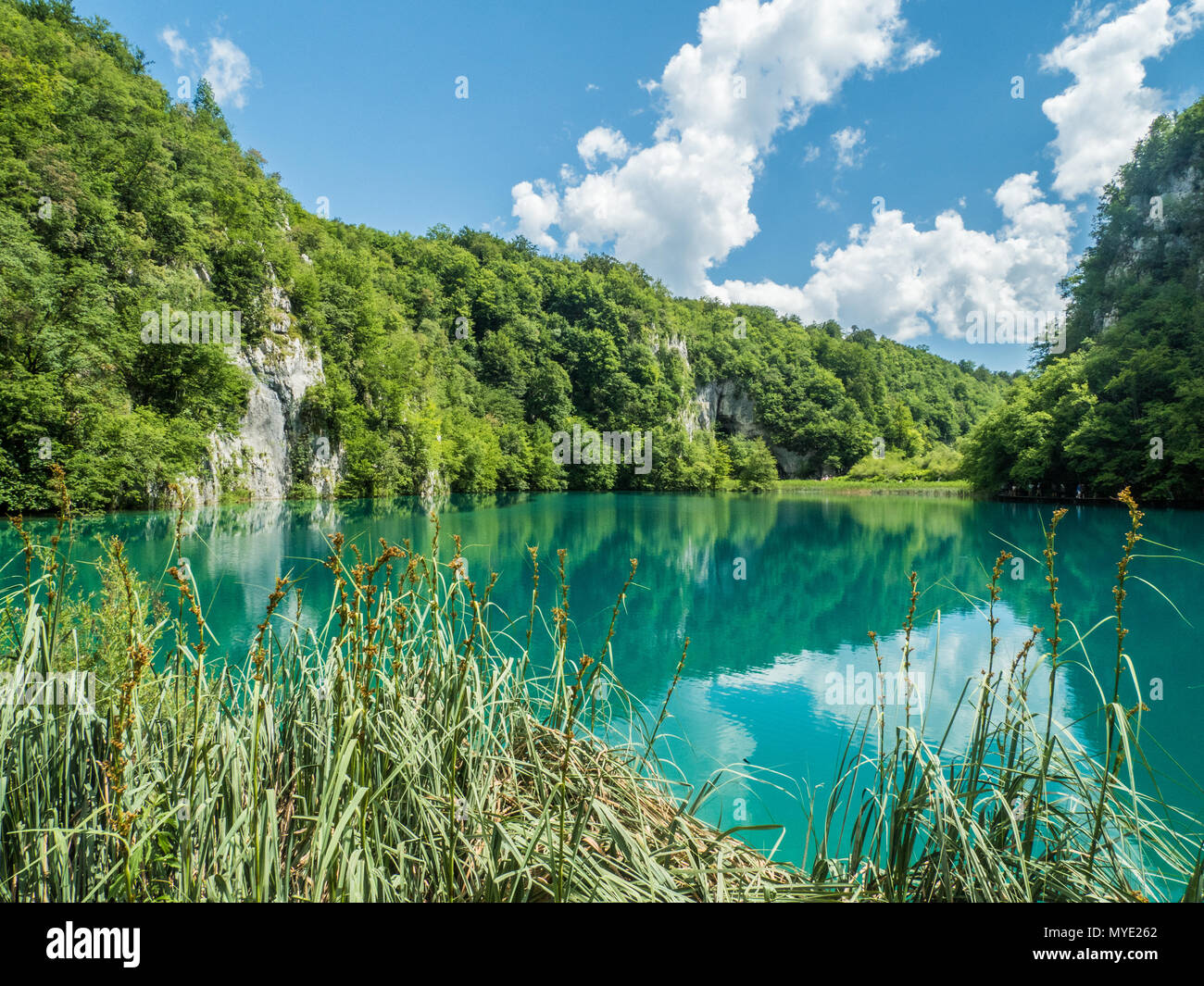 Parc national des lacs de Plitvice et réserve forestière, région de Karst, Croatie. Banque D'Images