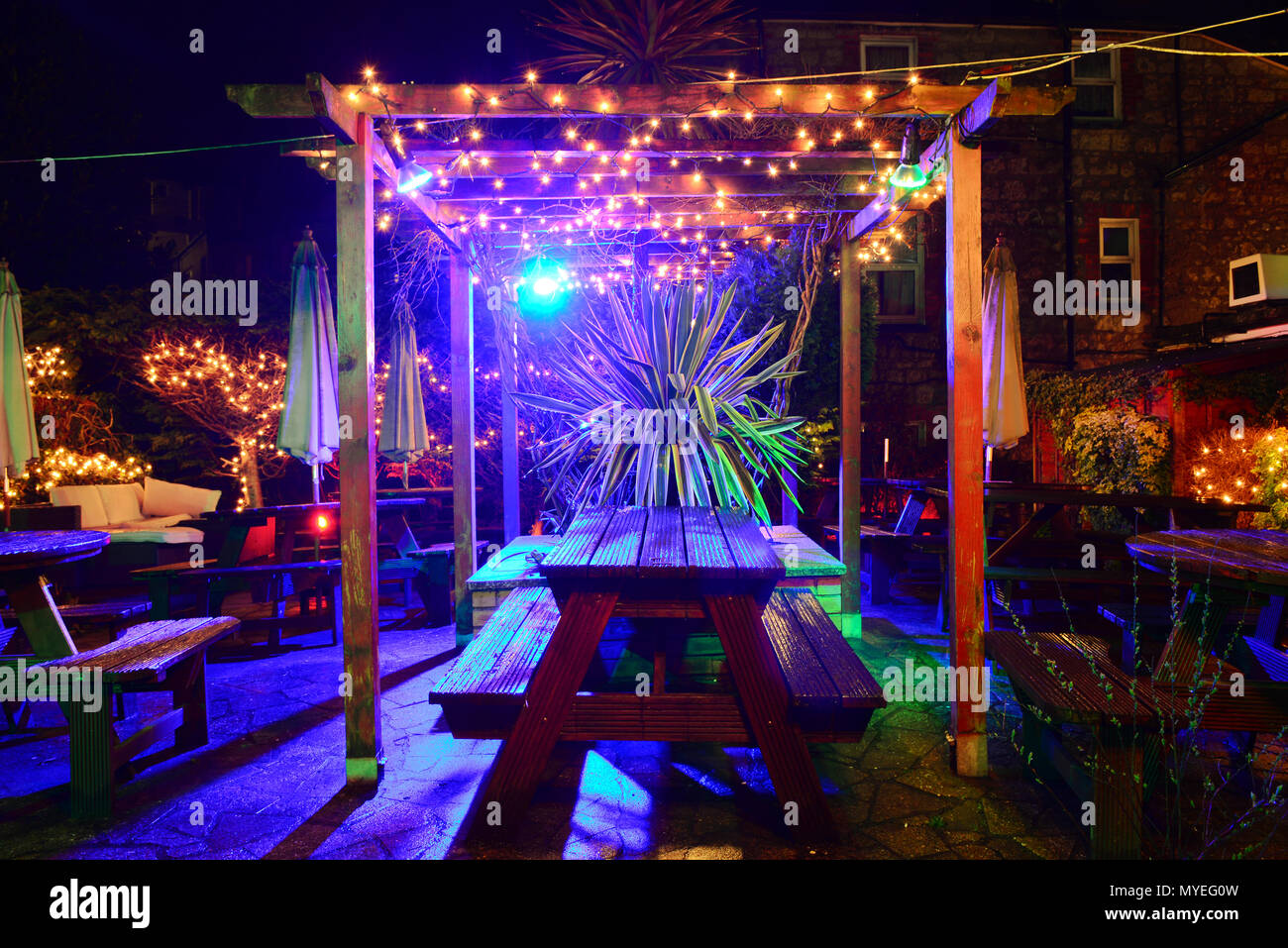 Le jardin illuminé au Village Inn, vieux village de Shanklin, sur l'île de Wight, ressemble enchanteresse la nuit après la pluie. Banque D'Images