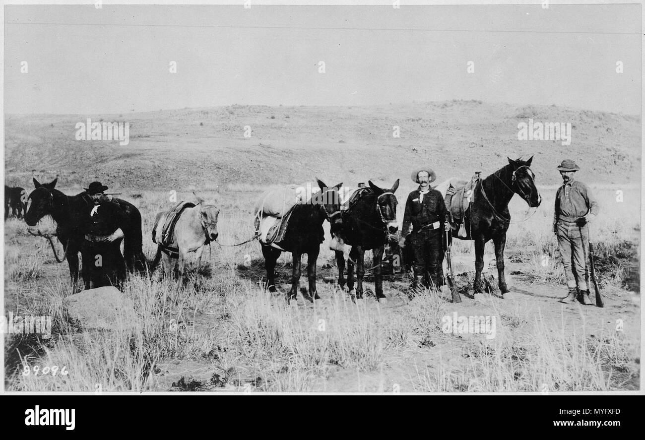 Les mules et porteurs. (Photo prise près de la frontière mexicaine en 1883. - Banque D'Images