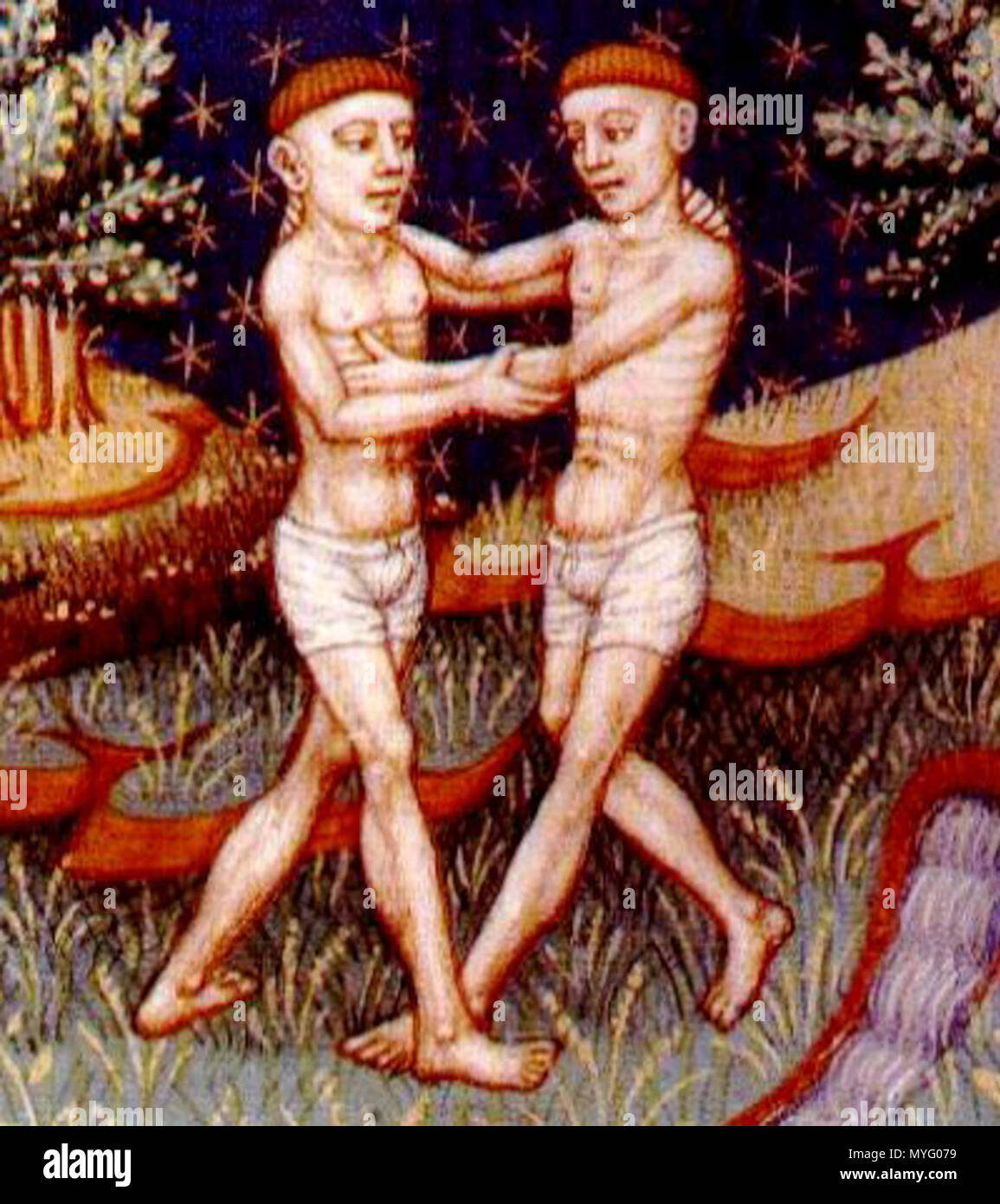 204 Gemini2 Banque D'Images