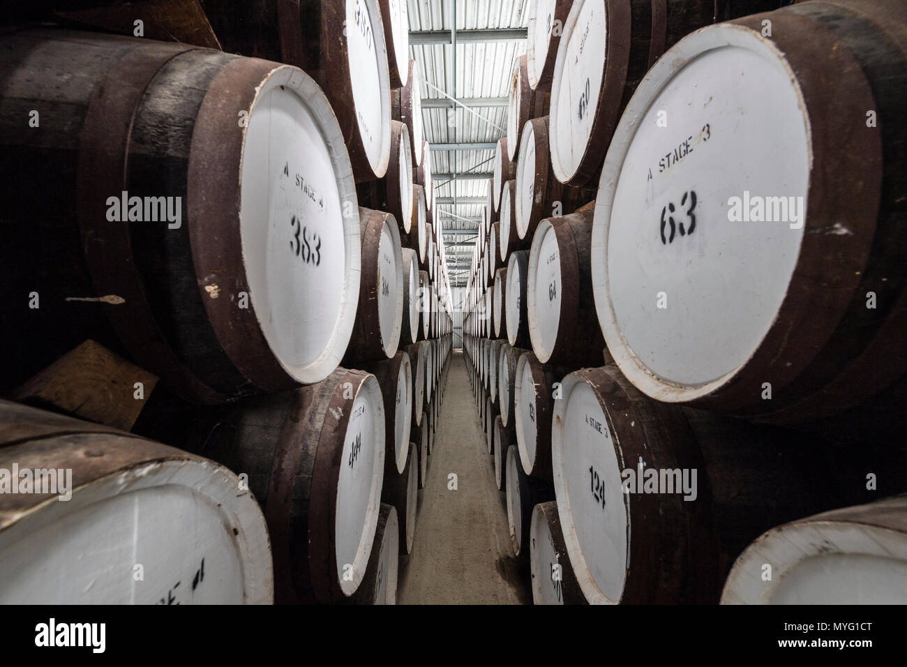 Une énorme collection de vin de barils empilés et stockés dans un hangar de l'âge et de maturité. Banque D'Images