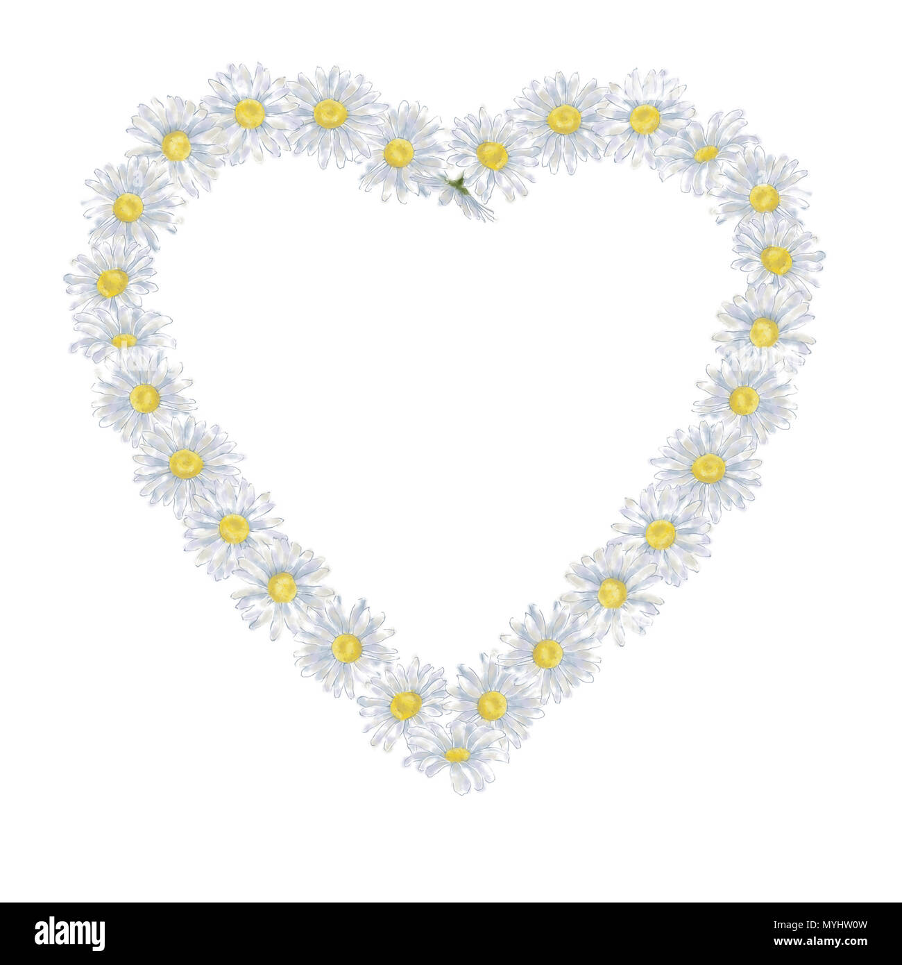 Forme de coeur Daisy Couronne isolé sur fond blanc. Aquarelle Floral Frame pour des annonces, Publicité, Cartes, invitations et d'autres Version. Banque D'Images