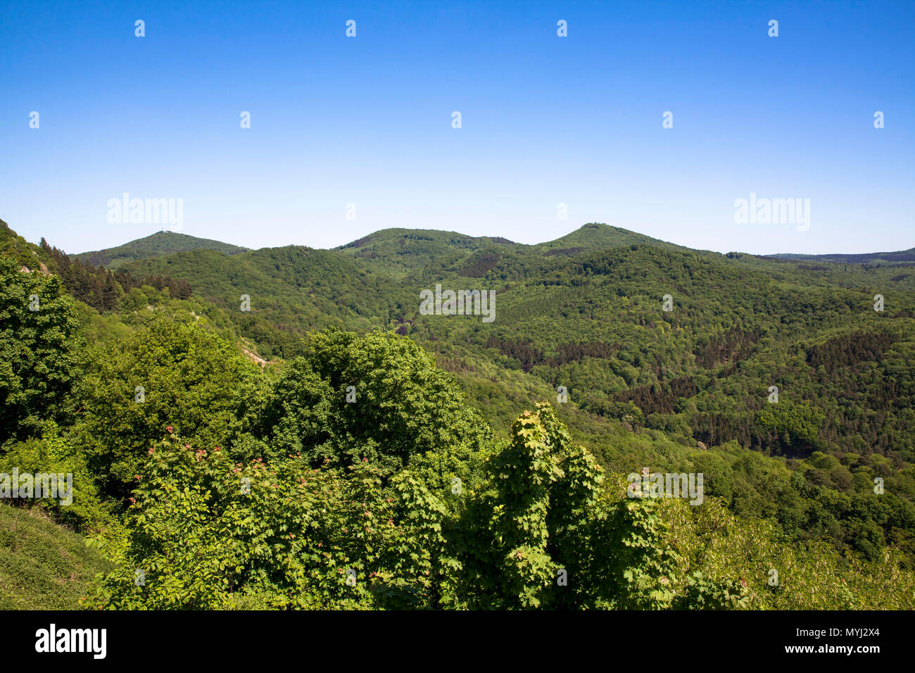 L'Allemagne, les collines du Siebengebirge, couronné du parc naturel près de Siebengebirge Koenigswinter. Siebengebirge, Deutschland, die bewaldeten Huegel d Banque D'Images