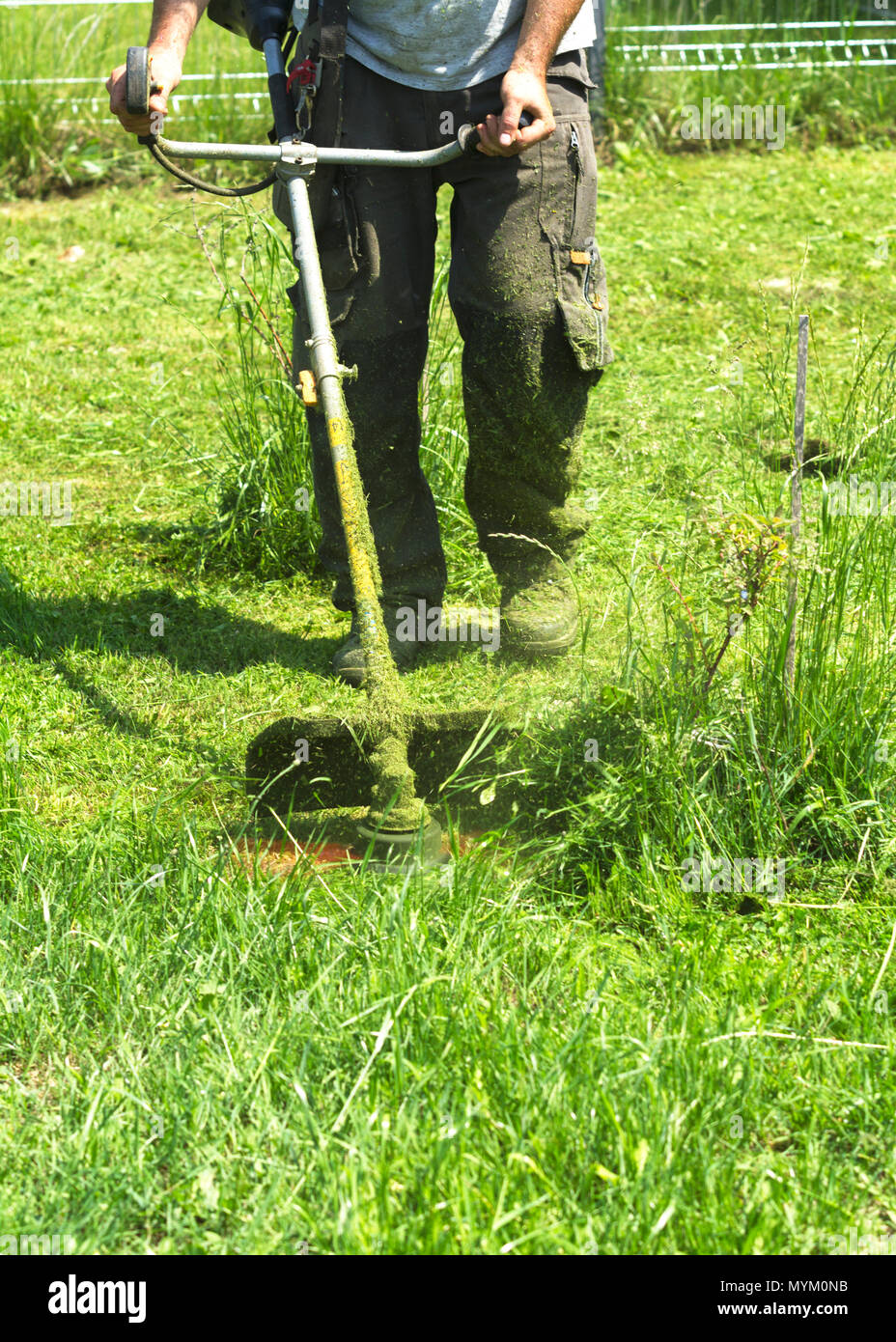 L'homme vert de la tonte d'herbe sauvage champ à l'aide de la faucheuse  débroussailleuse ou chaîne d'outils de jardin tondeuse à gazon. Pour tondre  une herbe avec la tondeuse. Trimer tond la