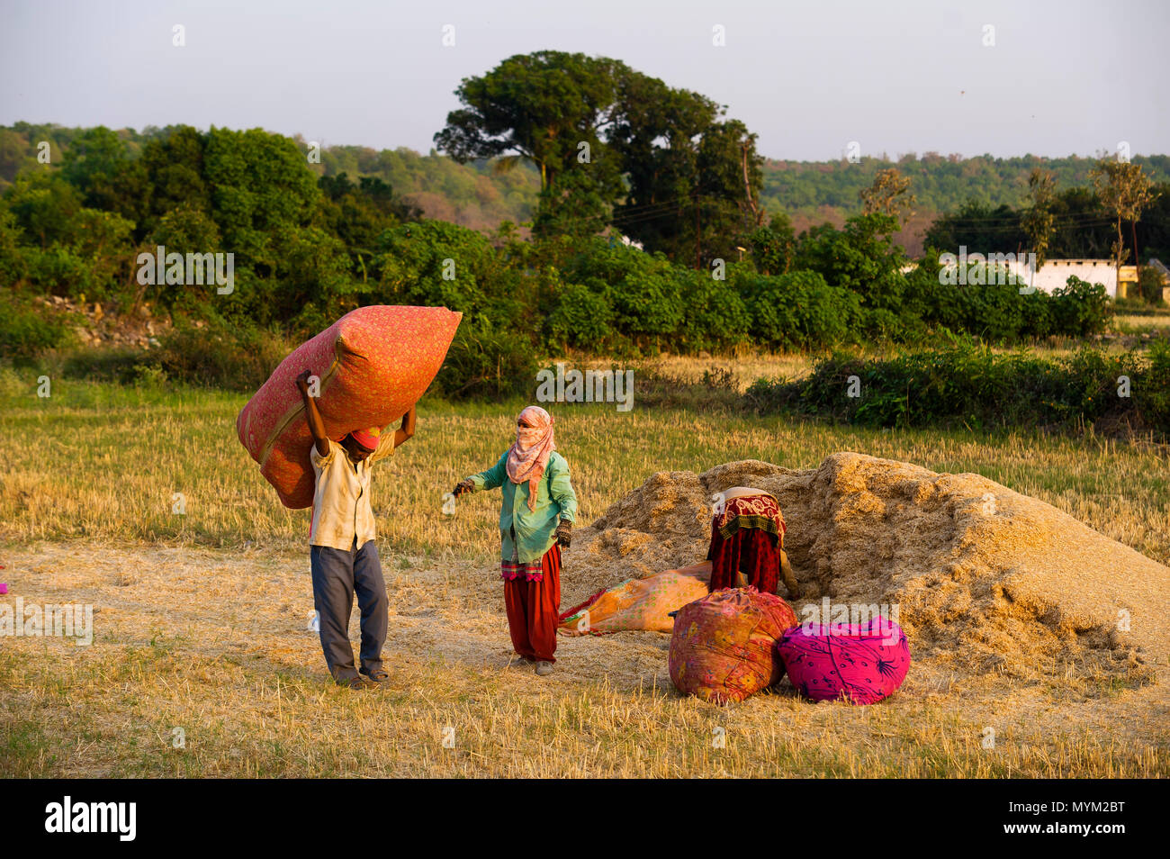 Les Indiens travaillant sur le terrain à Pawalgarh Pawalgarh jungle village, peut être vu dans la distance, Uttarakhand, Inde Banque D'Images