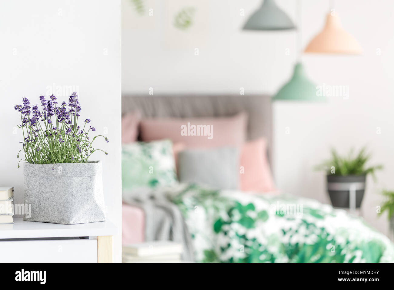 Fleurs violettes en gris Matériau pot placé sur la table debout dans intérieur lumineux Banque D'Images