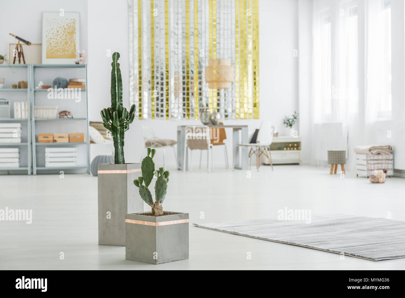 Appartement blanc avec cactus et décoratifs tapis Banque D'Images