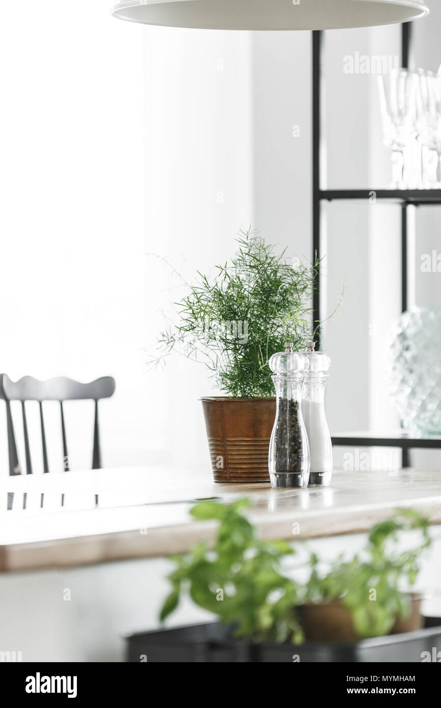 Accessoires de cuisine et de plantes en godet sur comptoir en brillant avec tabouret de bar noir Banque D'Images