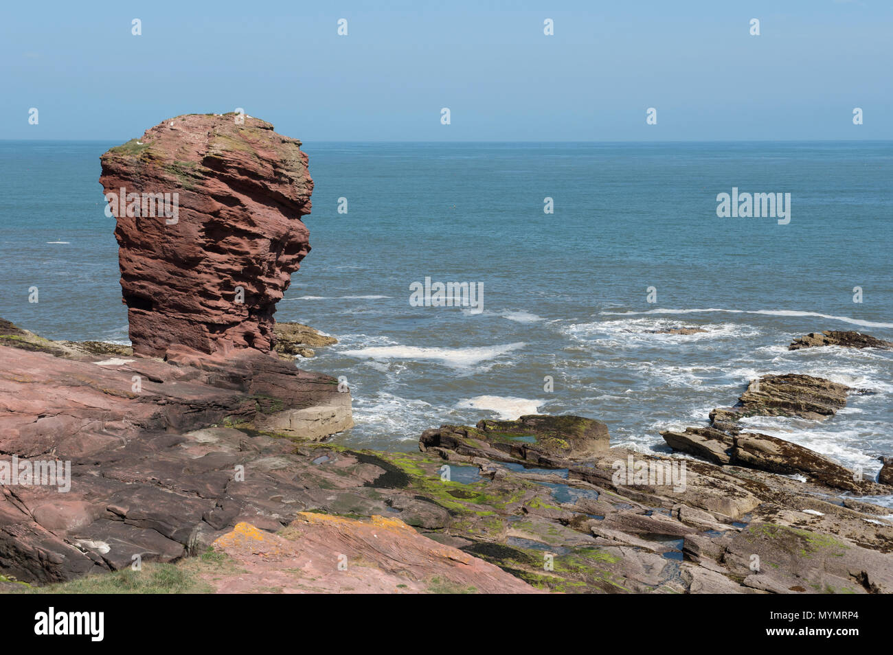 Le Deil's Heid (Devils Head) Mer de grès rouge, pile, falaises Seaton Arbroath, Angus, Scotland. Banque D'Images