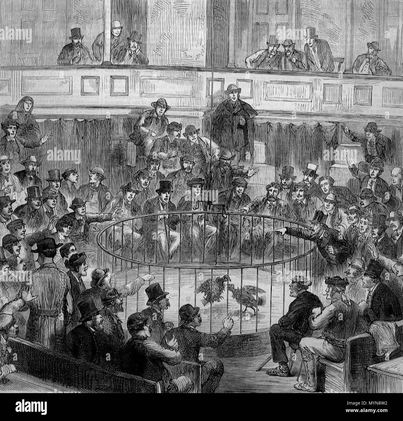 . Anglais : Dimanche De coqs à Madrid, une gravure sur bois publié dans le Harper's Weekly, septembre 1873. Septembre 1873. (Artiste non spécifié) 508 coqs dimanche à Madrid Banque D'Images
