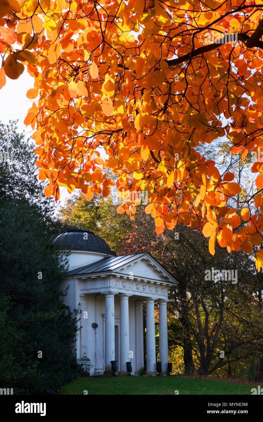 L'Europe, Royaume-Uni, Angleterre, Londres, les jardins de Kew automne Bellona Banque D'Images