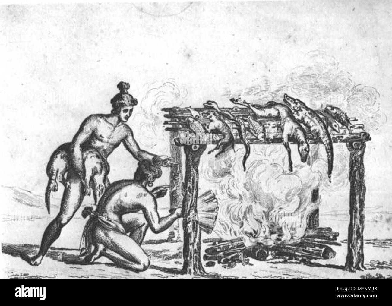 448 Rc11017 Timucua alimentaire séchage Banque D'Images