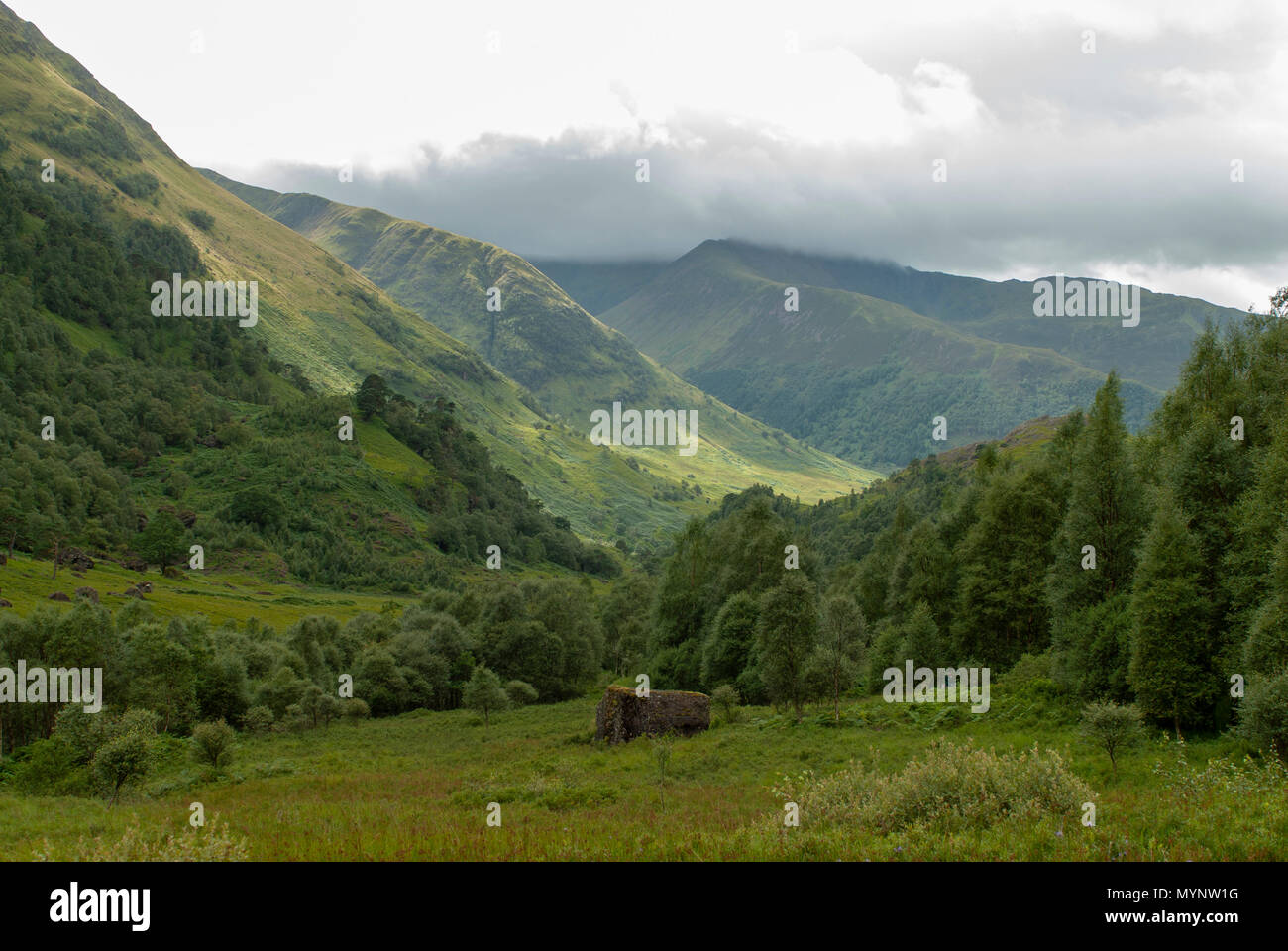 Vue générale vers l'Mamores près de l'eau de Nevis et Steall Falls à partir d'une marche de Polldubh Achriabhach et dans les collines au pied du Ben Nevis, Highl Banque D'Images