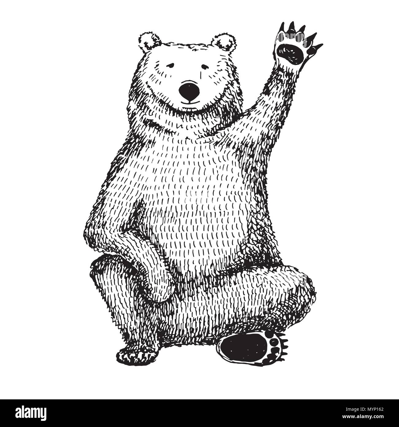 Esquisse d'une forme ours. Vector illustration. Illustration de Vecteur