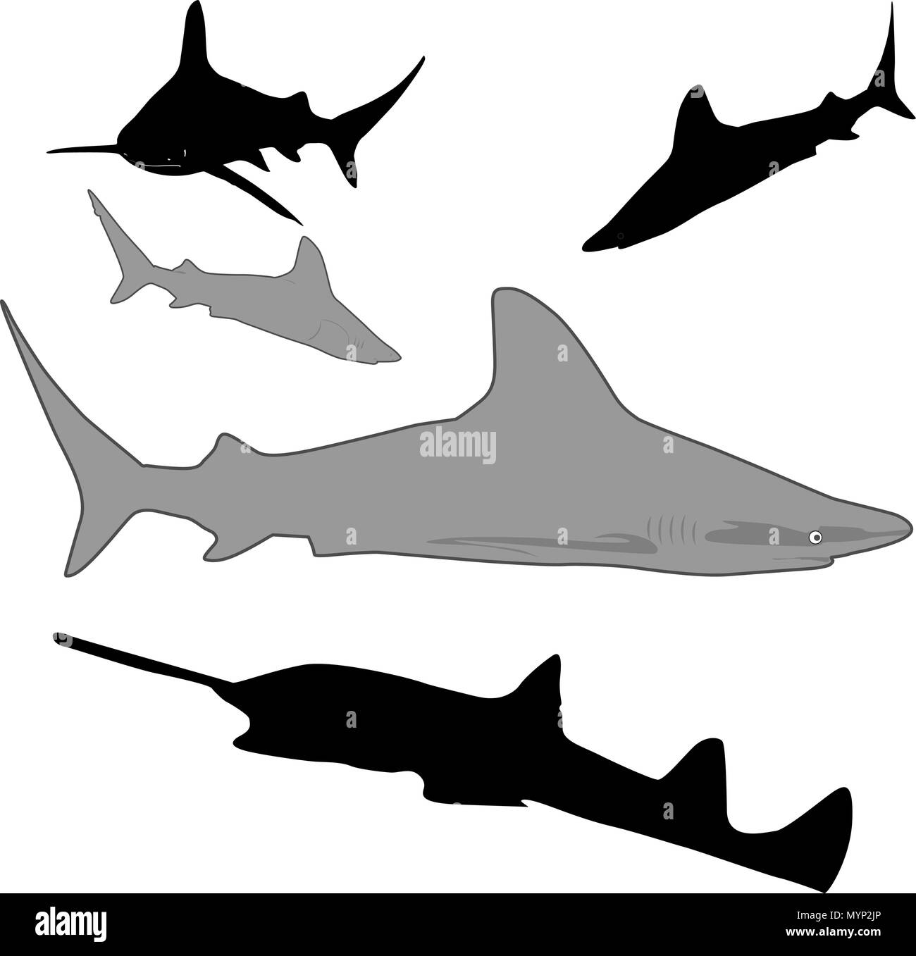 Sous-marin requin vecteur silhouette Illustration de Vecteur