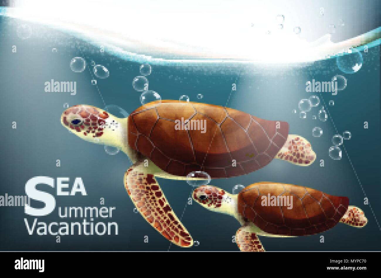 Concept Tortue Et Lievre Banque D Image Et Photos Alamy