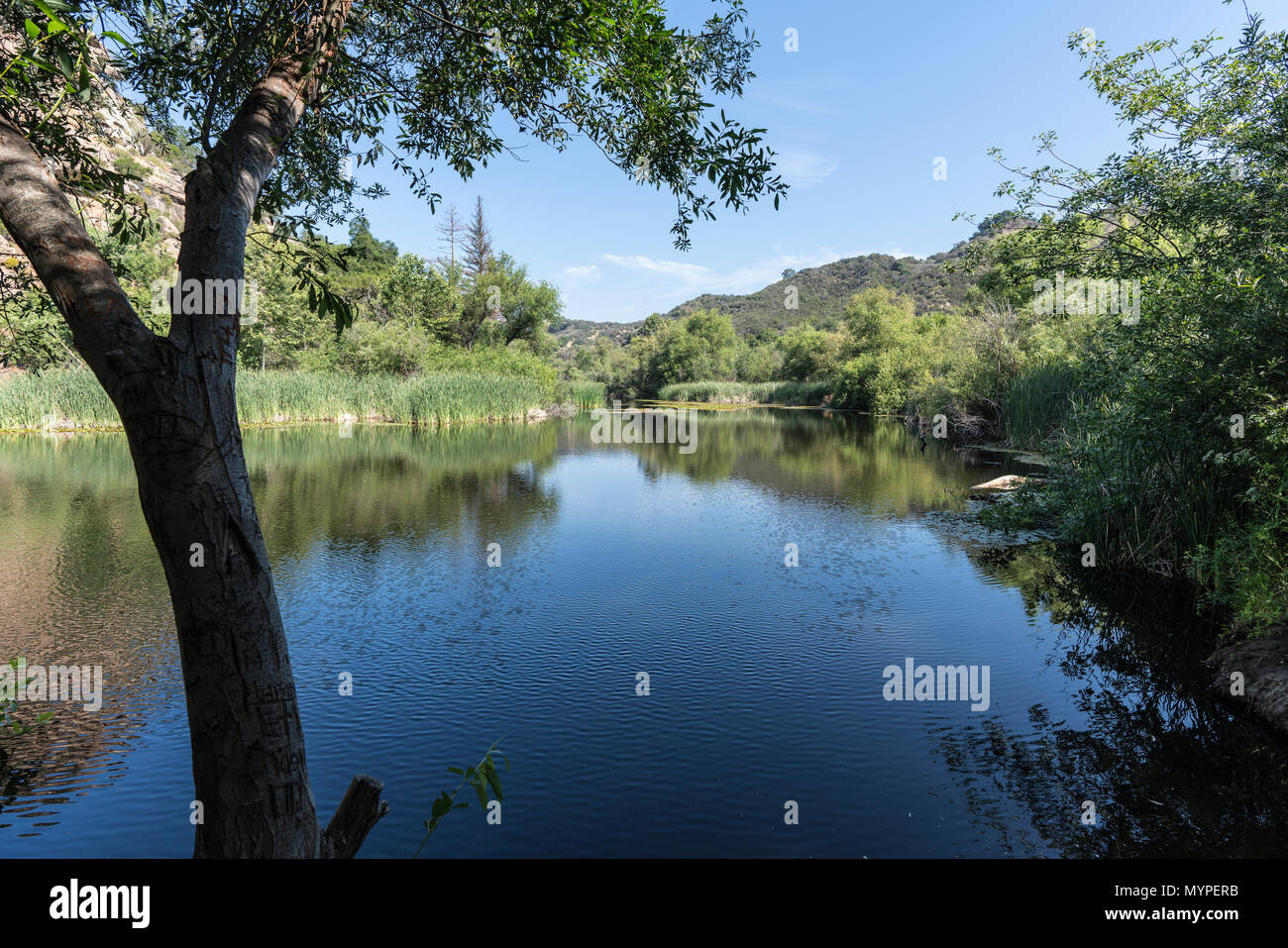 Siècle Lake à Malibu Creek State Park dans le montagnes de Santa Monica, près de Los Angeles, Californie. Banque D'Images