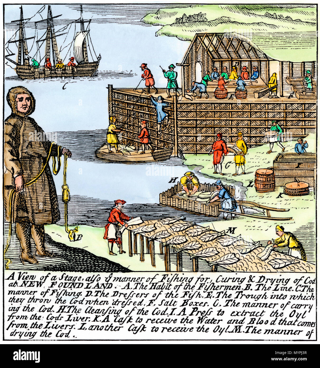Les pêcheurs de morue le séchage et le salage du poisson sur la côte de Terre-Neuve, 1700. À la main, gravure sur bois Banque D'Images