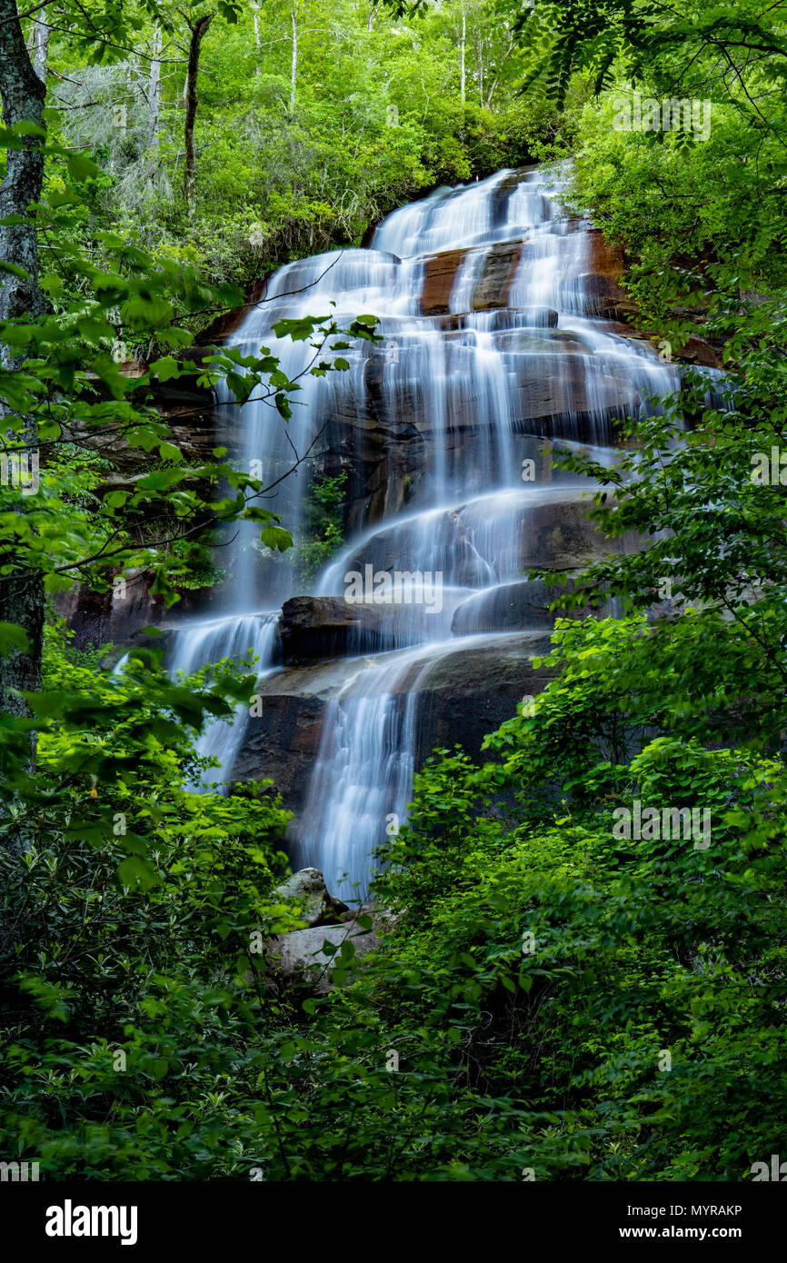 Daniel Ridge Falls ou Tom's Spring Falls - Pisgah Forest National - près de Brevard, North Carolina, États-Unis Banque D'Images