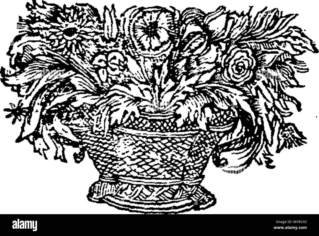 . Anglais : fleuron de livre : Un compte rendu historique de l'état ancien et moderne de la principauté de galles, dutchy de Cornwal, et comté de Chester. Recueillis par les registres de la Tour de Londres, et divers auteurs anciens. Par Sir John Dodridge, Chevalier. Auquel s'ajoute son Altesse Royale le Prince de Galles, les deux brevets en latin et français ; également un compte de sa dignité, de privilèges, d'armes, le rang et les titres, et de ses fils et filles. 336 Un compte rendu historique de l'état ancien et moderne de la principauté de galles, dutchy de Cornwal, et comté de Chester Fleuron T00 Banque D'Images