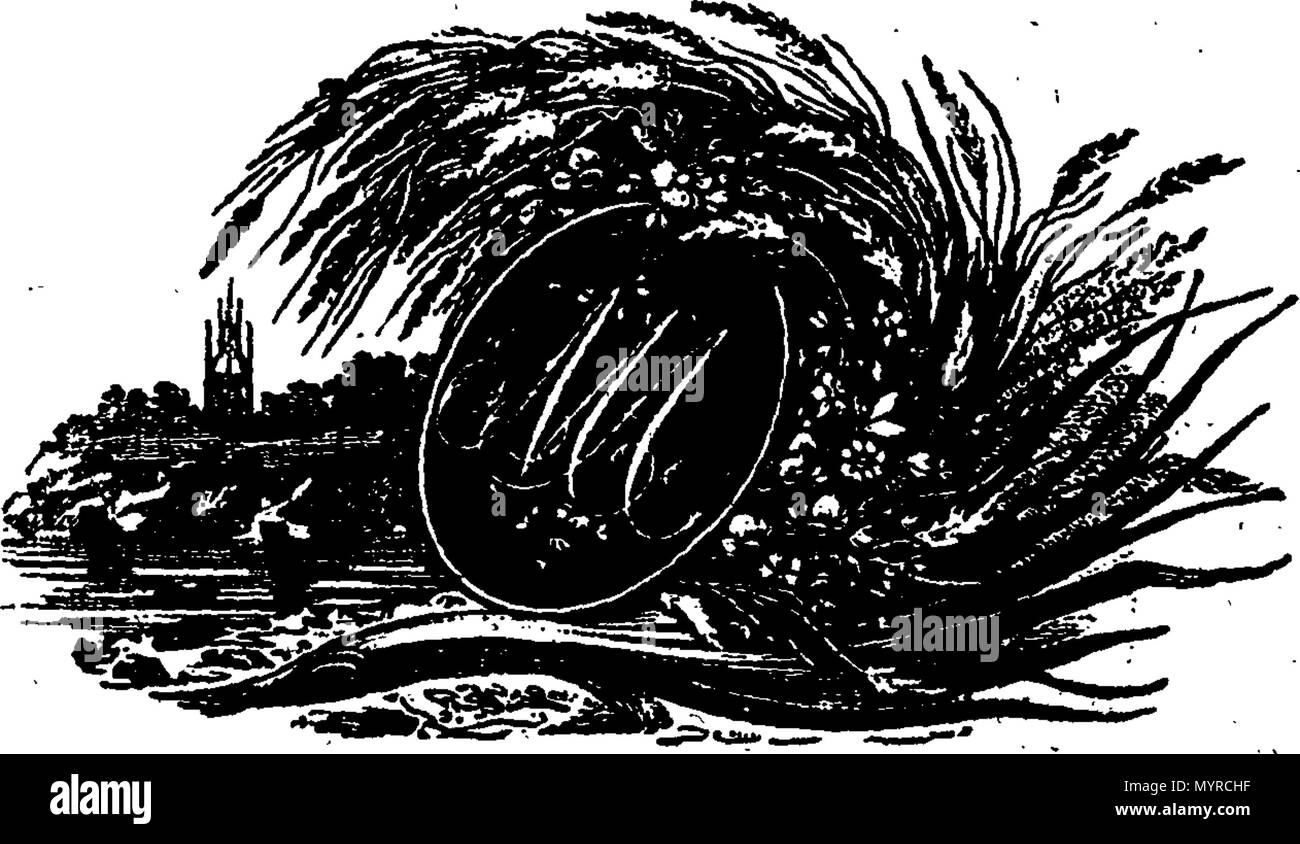 . Anglais : Fleuron du livre : une vue historique de la Révolution française, à partir de l'assemblage des Etats Généraux en mai 1789, à l'acceptation de la constitution républicaine en septembre, 1795. Avec un détail complet des causes qui ont produit, et les conséquences qui ont une grande volonté politique que de abondaient Phaenomenon. 342 Une vue historique de la Révolution française Fleuron T063094-1 Banque D'Images