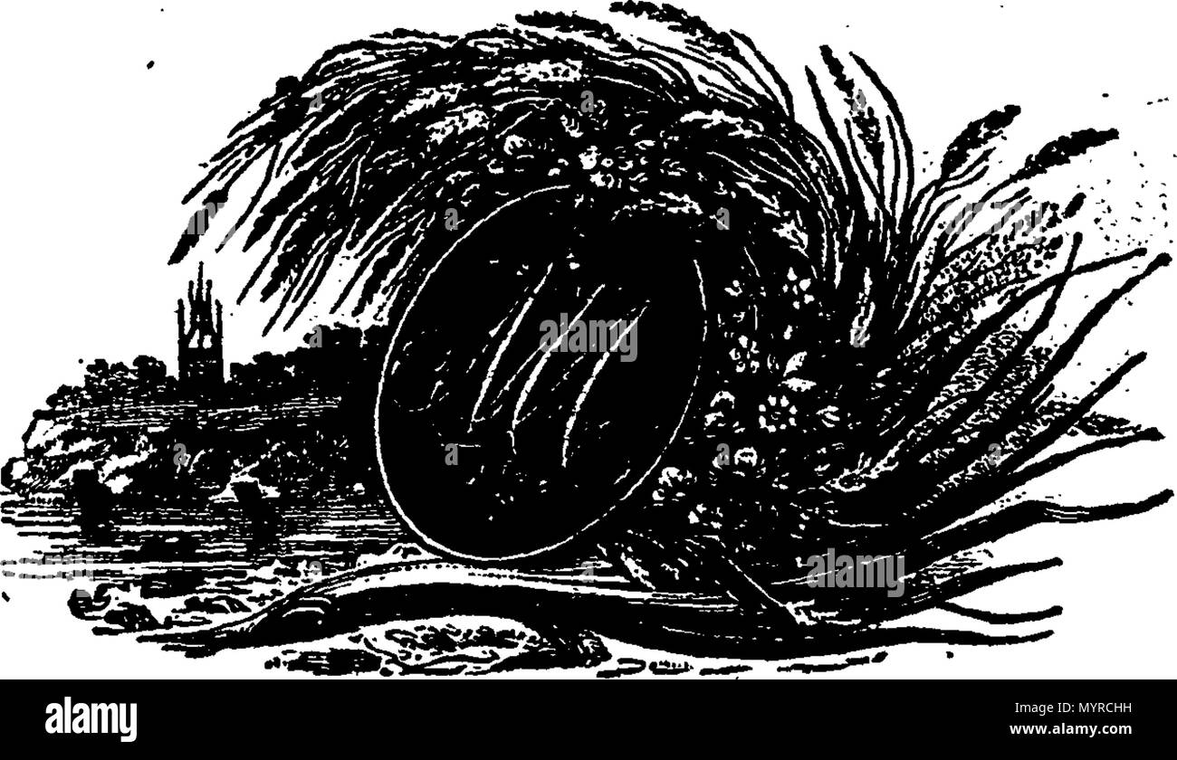 . Anglais : Fleuron du livre : une vue historique de la Révolution française, à partir de l'assemblage des Etats Généraux en mai 1789, à l'acceptation de la constitution républicaine en septembre, 1795. Avec un détail complet des causes qui ont produit, et les conséquences qui ont une grande volonté politique que de abondaient Phaenomenon. 342 Une vue historique de la Révolution française Fleuron T063094-3 Banque D'Images