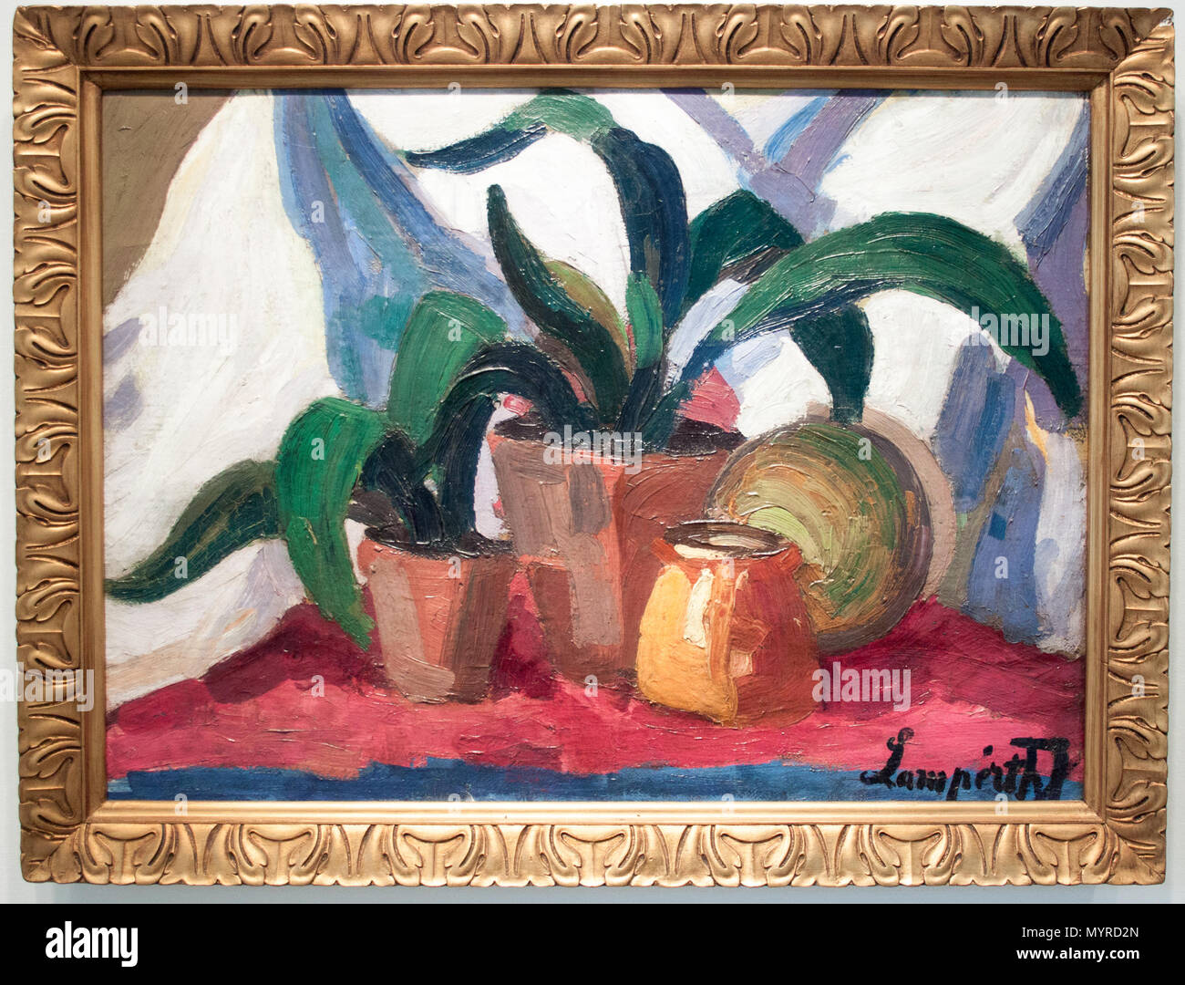 74 Nemes-Lampérth - encore et la vie des plantes Banque D'Images