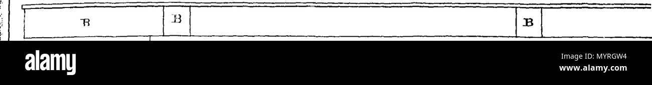 . Anglais : Fleuron du livre : Andrea Palladio's cinq ordres d'architecture. Avec ses traités de socles, galeries, ... Avec ses observations et les préparatifs pour la construction ; et ses erreurs et d'abus dans l'architecture. Traduit fidèlement, et toutes les plaques exactement copiés à partir de la première édition italienne imprimé à Venise 1570. Révisé par Colen Campbell, ... À laquelle sont ajoutés, cinq plaques curieux ... inventé par M. Campbell. 356 Andrea Palladio's cinq ordres d'architecture Fleuron N030216-9 Banque D'Images